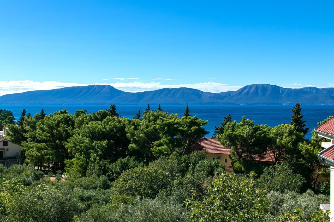 Apartments With A Parking Space Gradac, Makarska - 14708 Екстер'єр фото